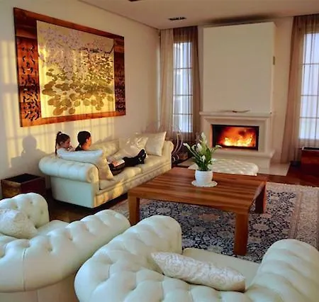 Vila Gric Villa *